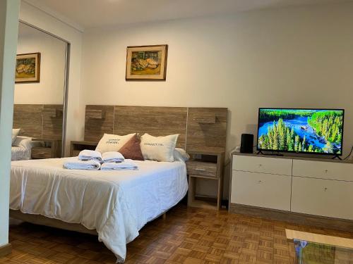 布宜诺斯艾利斯palermo frente al Zoo的一间卧室配有一张床和一台平面电视