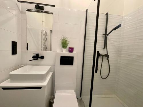 华沙Słoneczny Apartament Koszykowy!的白色的浴室设有水槽和淋浴。