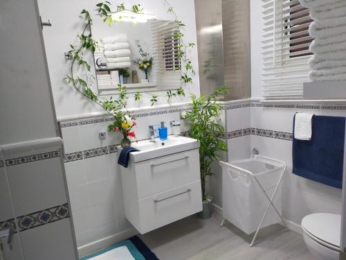 伊科德洛斯维诺斯Playa Monis 1的一间带水槽和卫生间的浴室