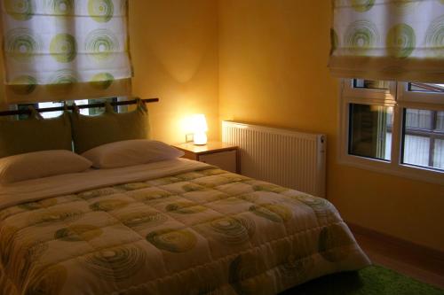 卡斯托里亚Room "honeybee" in a neoclassical house的一间卧室设有一张大床和一个窗户。