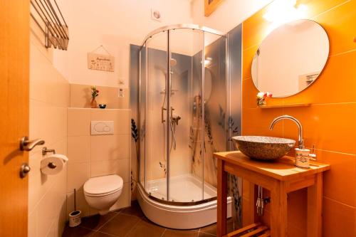 穆劳Panorama Apartment Bauernhof Mandl的带淋浴、卫生间和盥洗盆的浴室