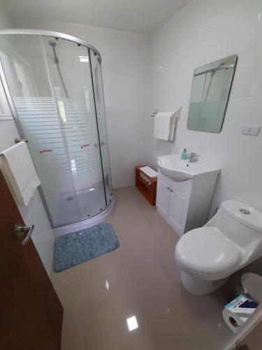 科克拉内Casa Grande, Alojamiento "BSA"的带淋浴、卫生间和盥洗盆的浴室