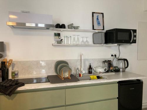 瓦朗斯Serene Sixteen - Valence Centre Ville的厨房柜台设有水槽和微波炉