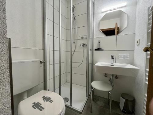 莱尔莫斯Ferienwohnung Wetterstein的带淋浴、卫生间和盥洗盆的浴室