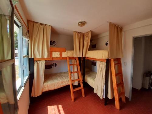 埃尔卡拉法特Hostel House 64Bigüa的带窗户的客房内的两张双层床
