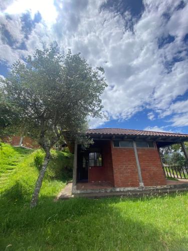 巴尼奥斯Hospedaje Pondoa - Baños de Agua的草上有一棵树的小砖房子