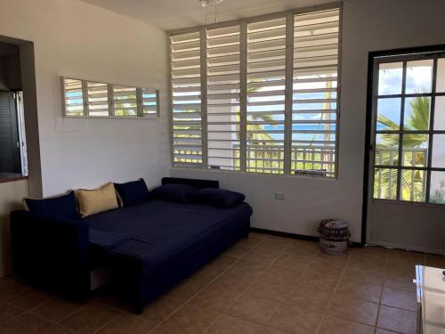 卡沃罗霍Ocean View, Playas del Caribe的客厅设有蓝色的沙发和窗户。