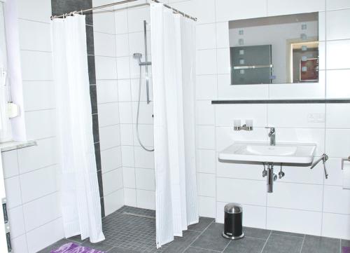塞尔布Ferienwohnung Ahne的带淋浴和盥洗盆的浴室