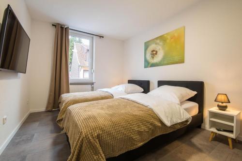 萨尔布吕肯Luxury Saarbrücken 4的配有电视和窗户的客房内的两张床