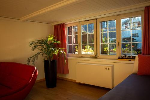 MattenUncle Eric's Chalet的一间客厅,配有盆栽植物和窗户