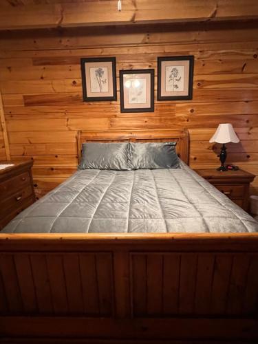 赛维尔维尔Southern Grace的小木屋内一间卧室,配有一张床