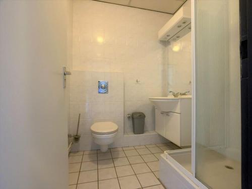 卡德赞德Wijk de Brabander 59的浴室配有卫生间、盥洗盆和淋浴。