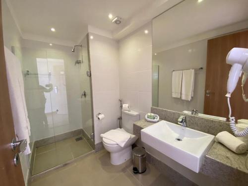 多明戈斯马丁斯hotel Pedra Azul ES的一间带水槽、卫生间和镜子的浴室