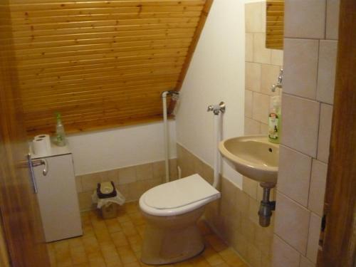 蒂萨菲赖德Holiday home Sellő Vendégház的一间带卫生间和水槽的小浴室