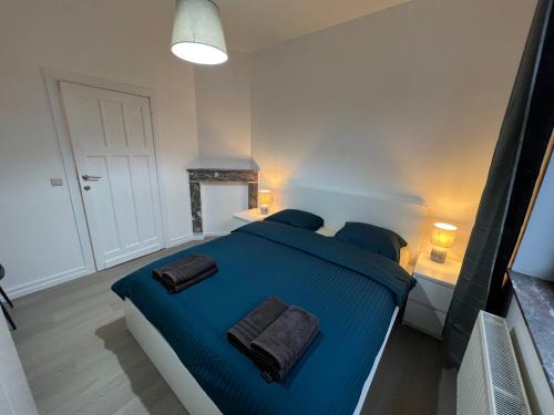 布鲁塞尔Cosy Apartment Merode 2的一间卧室配有一张大蓝色的床和两个枕头