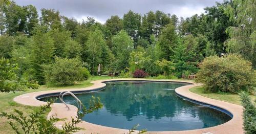 比亚里卡Tierra de Domos的花园中的一个游泳池