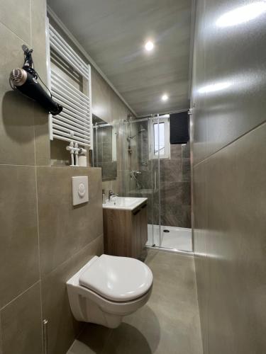 布鲁塞尔Cosy Apartment Merode 2的一间带卫生间和淋浴的小浴室