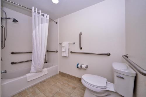 佩吉Holiday Inn Express & Suites Page - Lake Powell Area, an IHG Hotel的浴室配有卫生间、淋浴和浴缸。