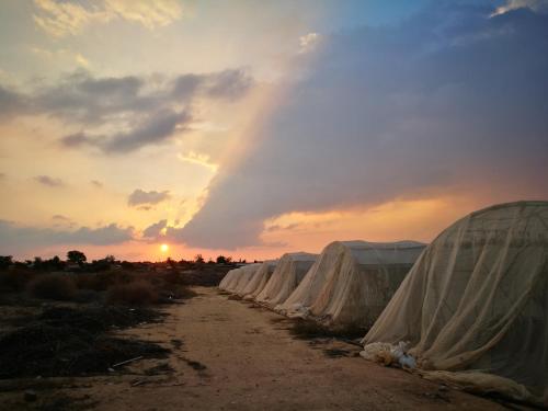 Nevatimחאן בכפר במשק בלה מאיה - האוהל的日落时在土路上的一排帐篷