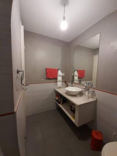 科尔多瓦Departamento luminoso y encantador. B° GRAL PAZ.的一间带水槽和镜子的浴室