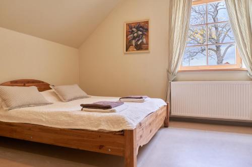 ZutēniJuku Dzirnavas的一间卧室设有一张大床和一个窗户。