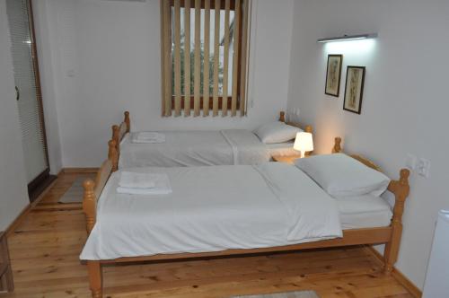 索科矿泉村SMEŠTAJ SOLARIS Studio Apartmani的一间卧室设有两张床和窗户。