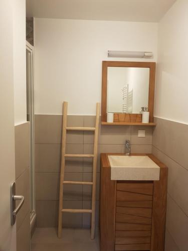 波泰皮莫朗CASTEL ISARD - Le Refuge的一间带水槽和镜子的浴室