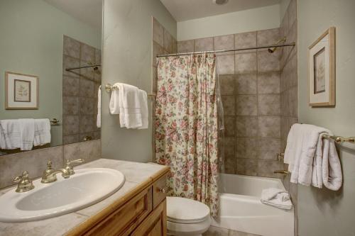 爱德华兹Arrowhead Village E9VT的一间带水槽、卫生间和淋浴的浴室