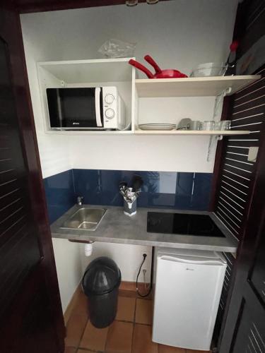 拉特里尼泰CLANES LOCATION Acerola的一间带水槽和微波炉的小厨房