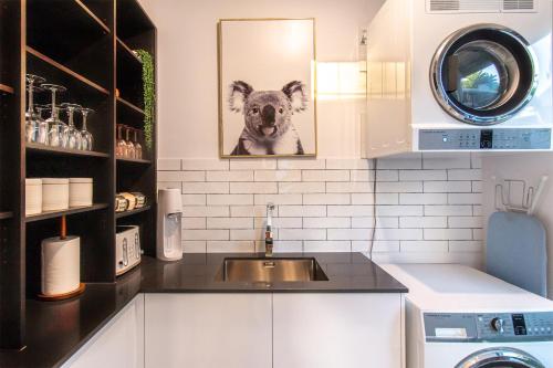 凯恩斯Pembroke House - Inner city luxury的厨房配有水槽和狗的照片