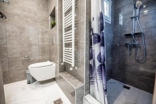 塞萨洛尼基Central Luxury Apartment的带淋浴、卫生间和淋浴的浴室