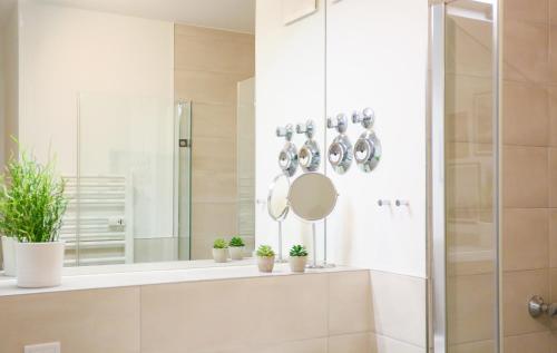 曼海姆Chic Studio : Super Zentral : 1min zum HBF的浴室设有淋浴、镜子和盆栽植物