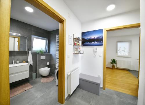 KriževciKalimero apartman A1的一间带卫生间和水槽的浴室