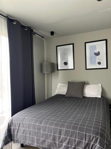 萨拉戈萨LA CASA CONTENEDOR的一间卧室配有一张带灰色铺面毯子的床
