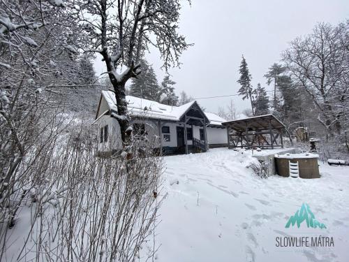 MátraszentistvánSlowlife Mátra的院子前的雪覆盖的房子