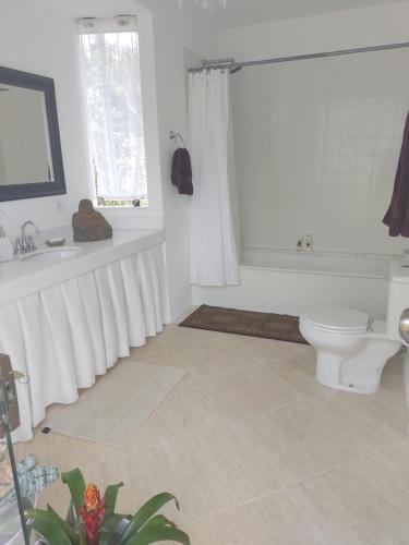 伊泰帕瓦Zen的浴室配有卫生间、浴缸和水槽。