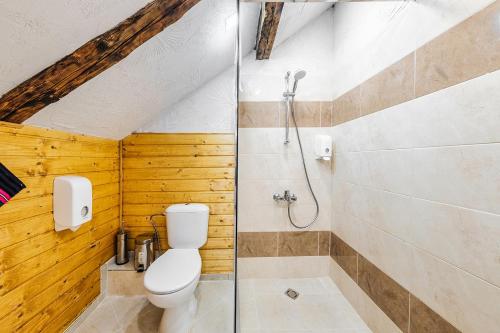 索非亚Sofia Folklore Life Apartment的一间带卫生间和淋浴的浴室