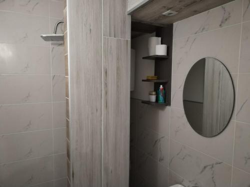 克鲁舍瓦茨VIN Studio的一间带镜子和淋浴的浴室