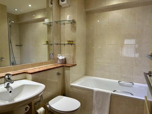 圣马丁格恩西特雷拉德酒店的浴室配有盥洗盆、卫生间和浴缸。
