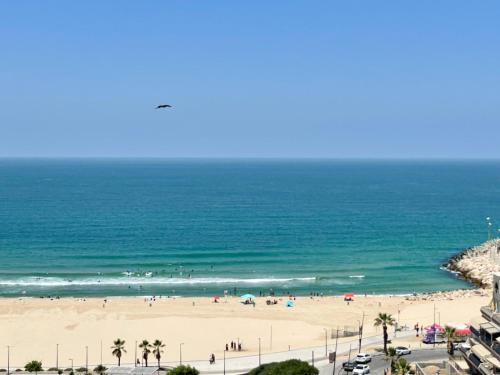 海景或在公寓看到的海景