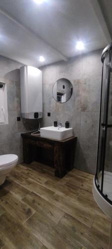 米尔科Domek pod Karpaczem 2的一间带水槽、卫生间和镜子的浴室