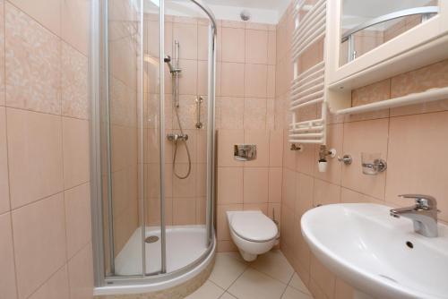 波兰尼卡-兹德鲁伊阿尔贝耶斯基酒店的带淋浴、卫生间和盥洗盆的浴室