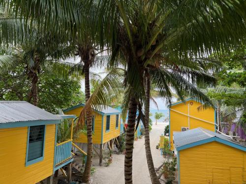 库尔克岛Colinda Cabanas的棕榈树海滩上一排色彩缤纷的房屋