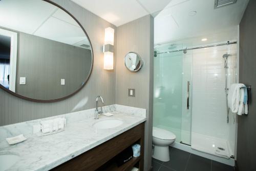 莱斯布里奇Sandman Signature Lethbridge Lodge的一间带水槽、卫生间和镜子的浴室