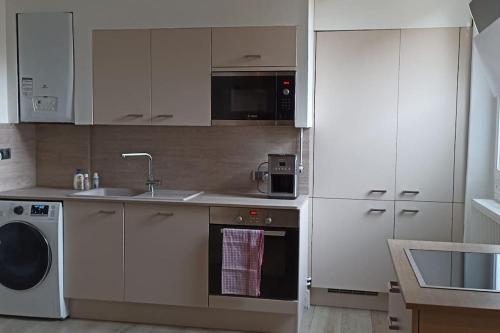 叙雷纳Suresnes : 2 pièces cosy的厨房配有白色橱柜、水槽和洗碗机。