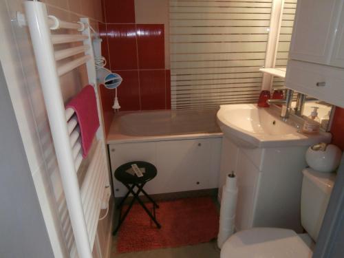 塞尼奥斯Appartement Seignosse, 2 pièces, 4 personnes - FR-1-239-460的一间带水槽和卫生间的小浴室