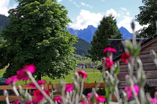 格绍Dachstein 7的山 ⁇ 的花田