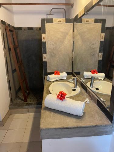 贝岛maison vanilianadia的一间带水槽和镜子的浴室