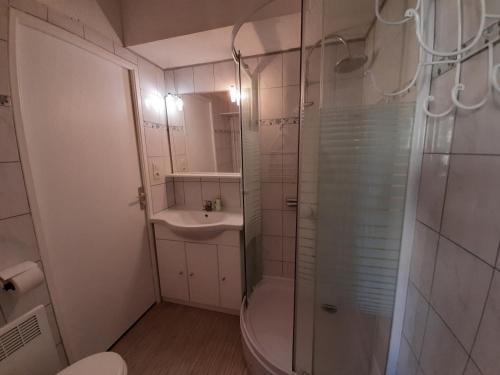 塞尼奥斯Appartement Seignosse, 2 pièces, 4 personnes - FR-1-239-107的带淋浴、卫生间和盥洗盆的浴室