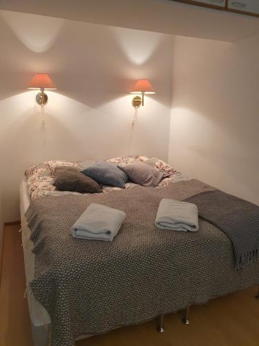 罗瓦涅米Apartment Marja's place的一张位于房间的床,上面有两个枕头